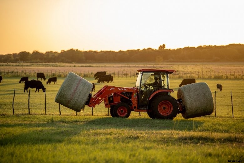 Cabbed Kubota compact tractor transports round bales with cattle in the background